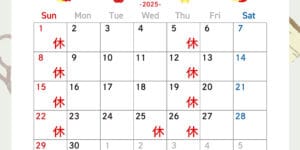 新潟市西蒲区お直しお店の「ぼんぼんぷらん」のホームページで使用する画像です。2025年6月の定休日のお知らせのアイキャッチ画像です。